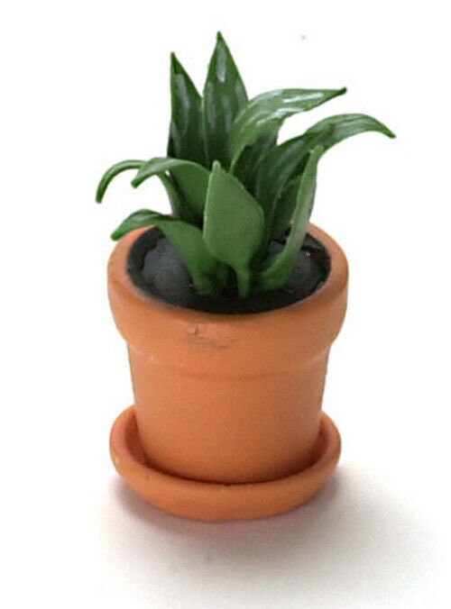Dollhouse miniature house plant #1776