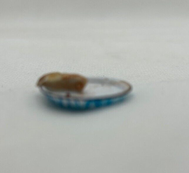 Dollhouse miniature piece of pie in flow blue pie pan handcrafted