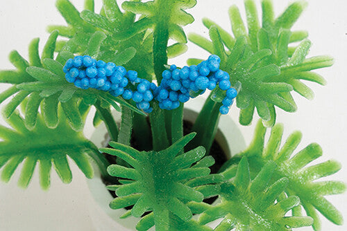 Dollhouse Miniature Plant with Blue Flowers in White Pot