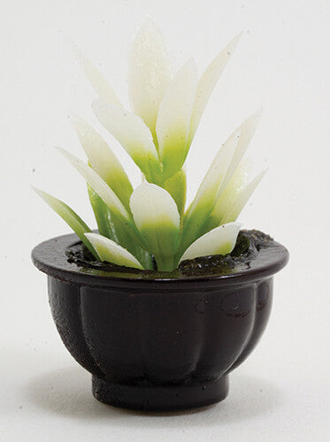 Dollhouse Miniature White Plant  in Black Pot