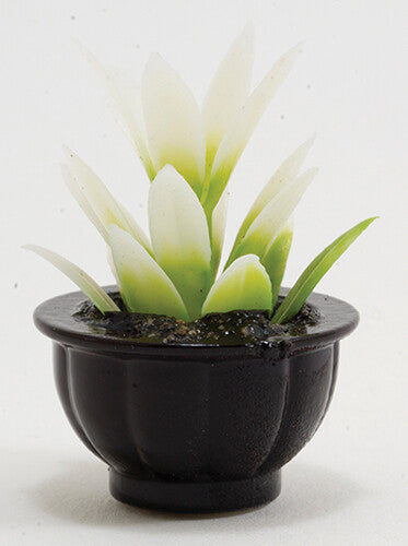Dollhouse Miniature White Plant  in Black Pot
