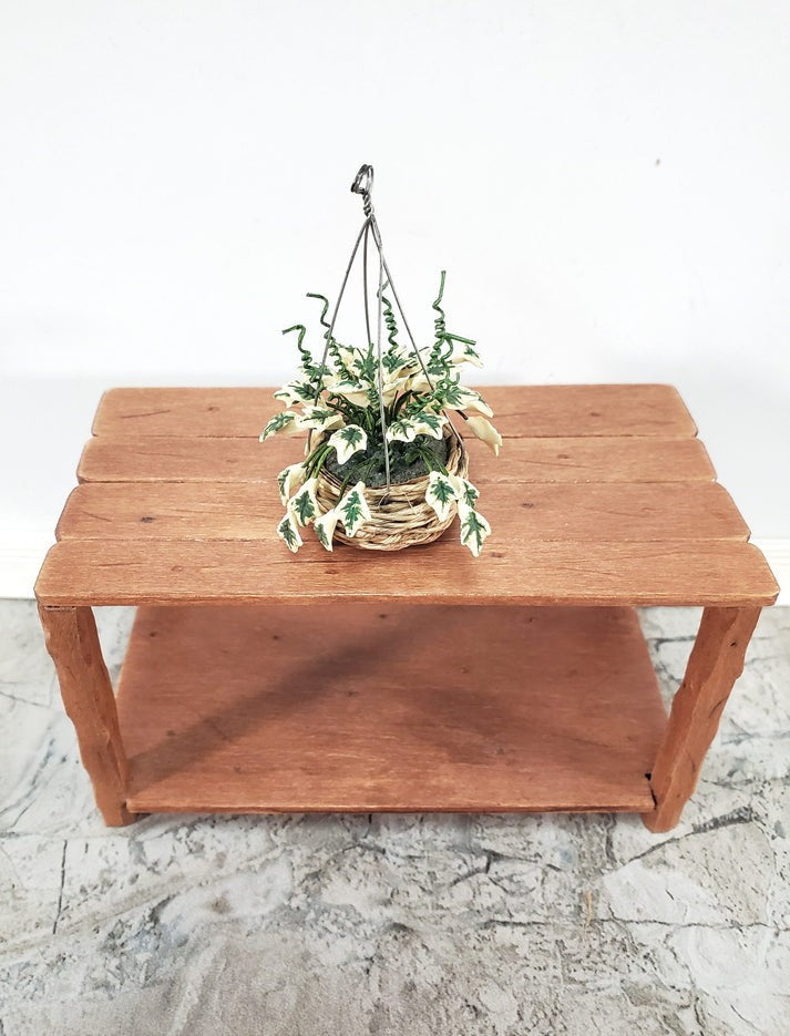 Dollhouse Hanging Plant Variegated English Ivy in Natural Fiber Basket