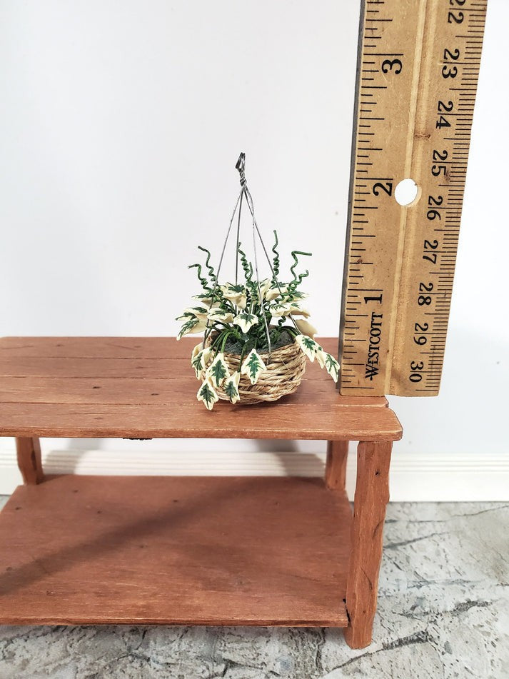 Dollhouse Hanging Plant Variegated English Ivy in Natural Fiber Basket