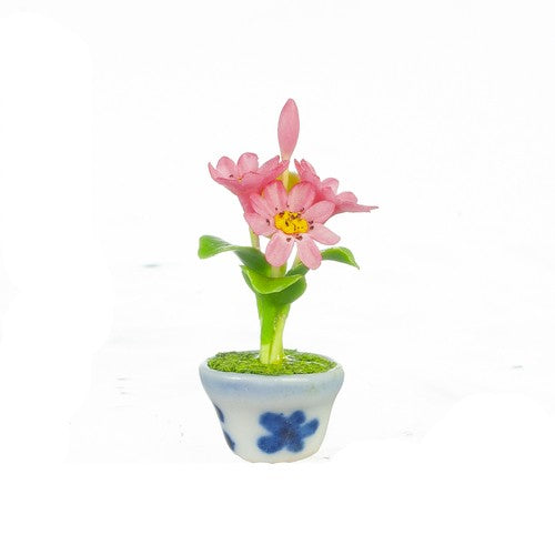Dollhouse Miniature Gazomia in Pot