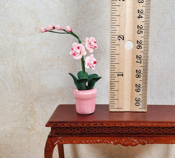 Dollhouse Pink Phalaenopsis Orchid in Pink Ceramic Pot Miniature 1:12 Scale