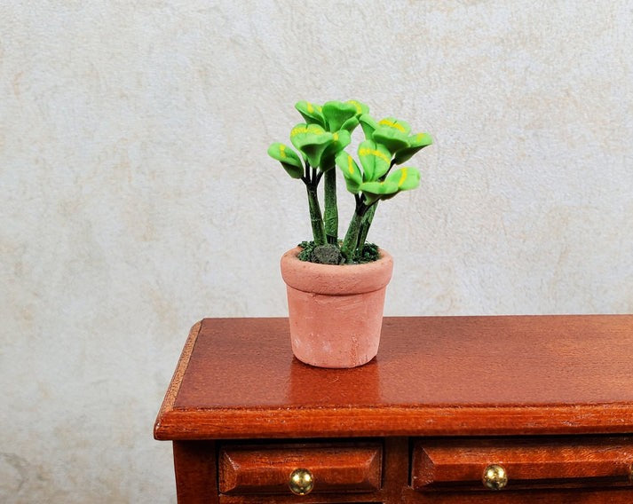 Dollhouse Lucky 4-Leaf Clovers in Terra Cotta Pot Miniature 1:12 Scale